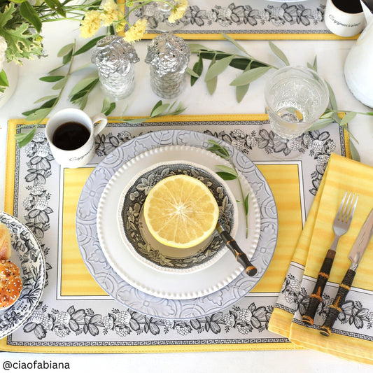 Villeroy & Boch Audun Stain and Water Resistant Placemats, Set of 4