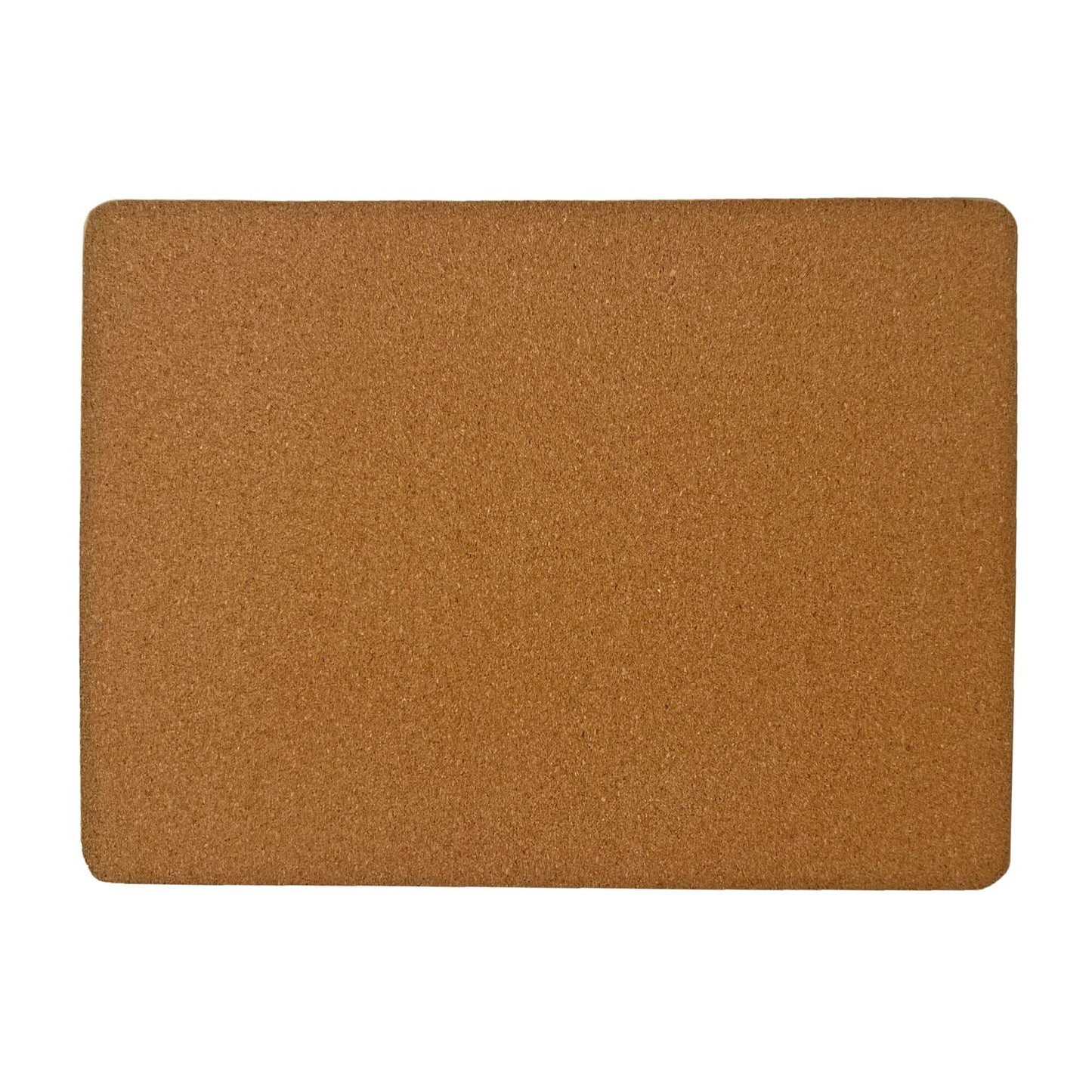 Lenox Butterfly Meadow Cork Placemats, Set of 4