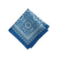 Vietri Medallion Block Print Stain & Water Resistant Indoor/Outdoor Napkins, Set of 4